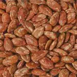 تخمه ژاپنی صادراتی فله