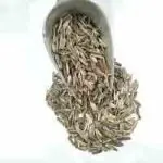 تخمه كانادایی رویال سس رنچ فله