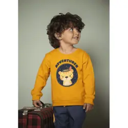 ست بلوز و شلوارک مشترک دخترانه و پسرانه P403 برشاد