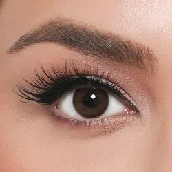 الامور دارک کافی