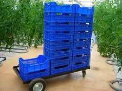 ترولی (چرخ دستی) برداشت محصولRO-01Two Storey Harvesting Trolly