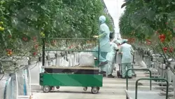 ترولی بالابر دستی گلخانه ایKIA-3000Greenhouse Piperail Trolley