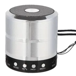 اسپیکر بلوتوثی رم و فلش خور WSTER Mini WS-887