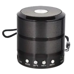 اسپیکر بلوتوثی رم و فلش خور WSTER Mini WS-887