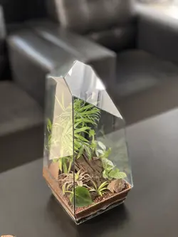 تراریوم کد PL-06-02-1