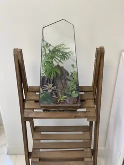 تراریوم کد PL-06-02-1