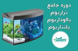 دوره جامع تراریوم ، پالوداریوم ، پلنتاریوم