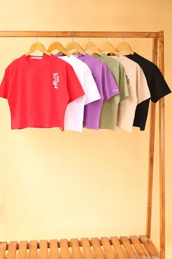 کراپ پنبه کاکتوس (۴۲۰۴)