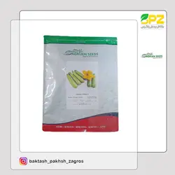 بذر کدو اپتیما اگریژن سید ایتالیا