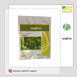 بذر خیار گلخانه ای فریال سینجنتا (سوئیس)