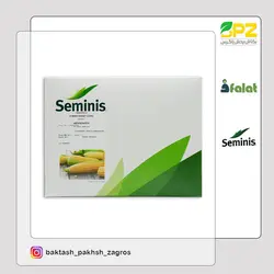 بذر ذرت شیرین مسنجر سمینیس (شرکت فلات)
