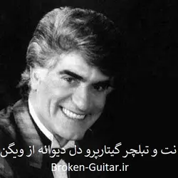 نت و تبلچر دل دیوانه از ویگن