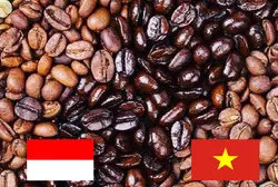 میکس فول کافئین