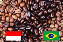 میکس برزیل / اندونزی (50-50)