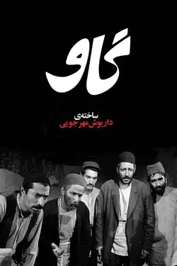 گاو