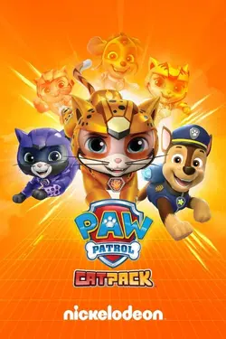 Cat Pack