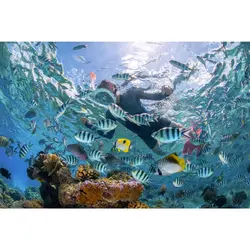 ماسک غواسی اسنورکلینگ EASYBREATH 500 – آبی