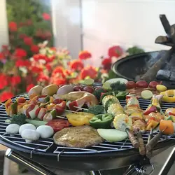 باربیکیو پارمیس مدل BBQ 412