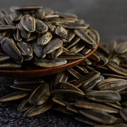 تخمه آفتابگردان