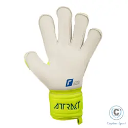 دستکش گلری راش REUSCH ATTRAKT GOLD EVOLUTION CUT 5270139-2001
