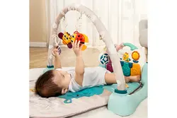 تشک موزیکال نوزاد هولی تویز (کد 898900)