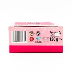 کنسرو سگ برند شایر طعم مرغ و بوقلمون وزن 120 گرم