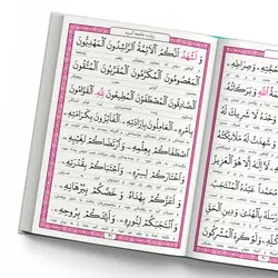 سوره یاسین، زیارت جامعه کبیره زیارت عاشورا، دعای عهد