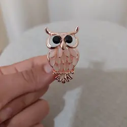 گل سینه بوف