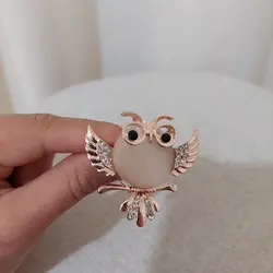 گل سینه بوف دانا