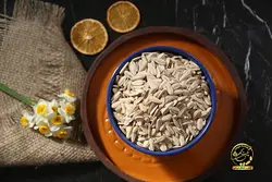 تخمه سناتور(ایرانی)