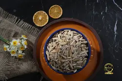 تخمه سناتور(خارجی)