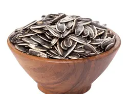 تخمه کانادایی خام اعلا