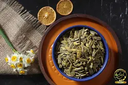 تخمه کانادایی گلپر