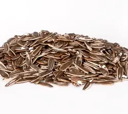 تخمه کانادایی(خال نمک)