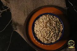 تخمه کدو خویی