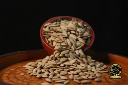 تخمه کدو خویی