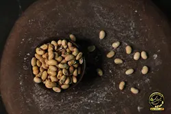 دانه سویا(آجیلی)