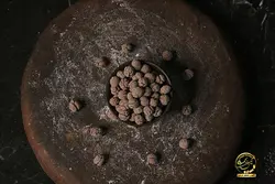 نخود کاکاعو