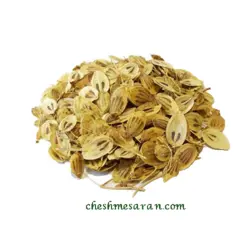 گلپر خشک - خشکبار چشمه ساران
