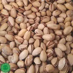 پسته تگری - خشکبار چشمه ساران