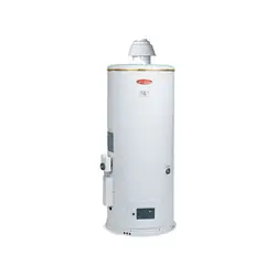 آبگرمکن گازسوز استوانه ای DSW130A