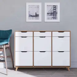 جاکفشی داشبوردی- 24 جفت کفش (طول 148-ارتفاع 106)