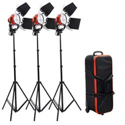 کیت نور پروژکتور کاسه ای 800 با لامپ و دیمر (سه شاخه)