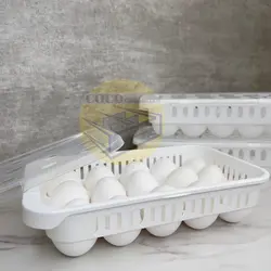 جا تخم مرغی