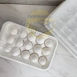 جا تخم مرغی