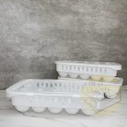 جا تخم مرغی