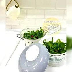 آبگیر سبزیجات