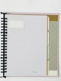 کلاسور پاستلی برگ