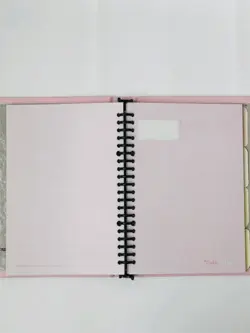 کلاسور پاستلی برگ