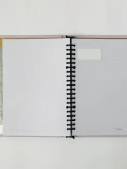 کلاسور پاستلی برگ